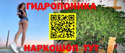твердый Можга